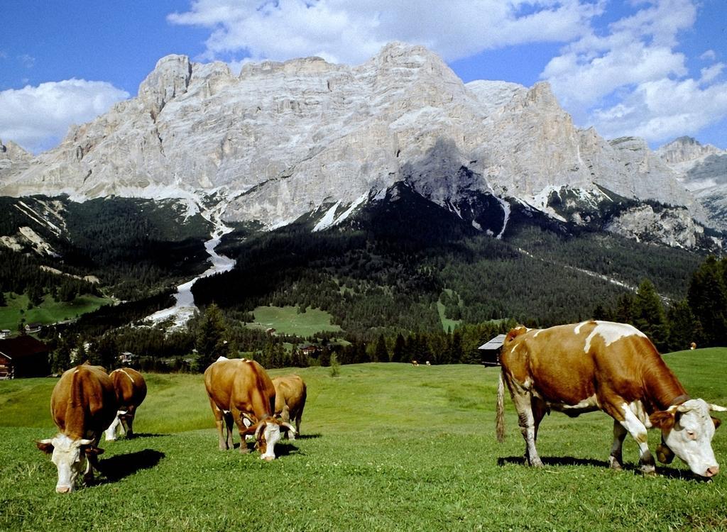 Dolomites Apartments Ciasa Vally Сан-Кассіано Екстер'єр фото